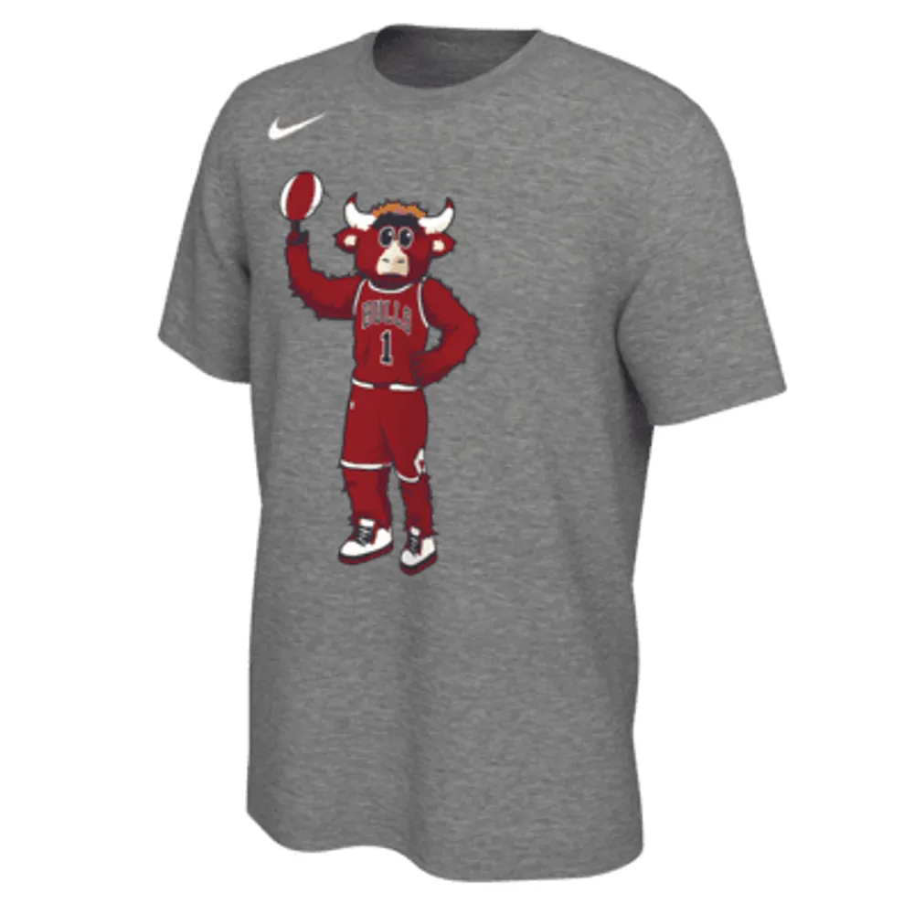 Nike Chicago Bulls Men's Nike NBA T-Shirt. Nike.com | The Summit