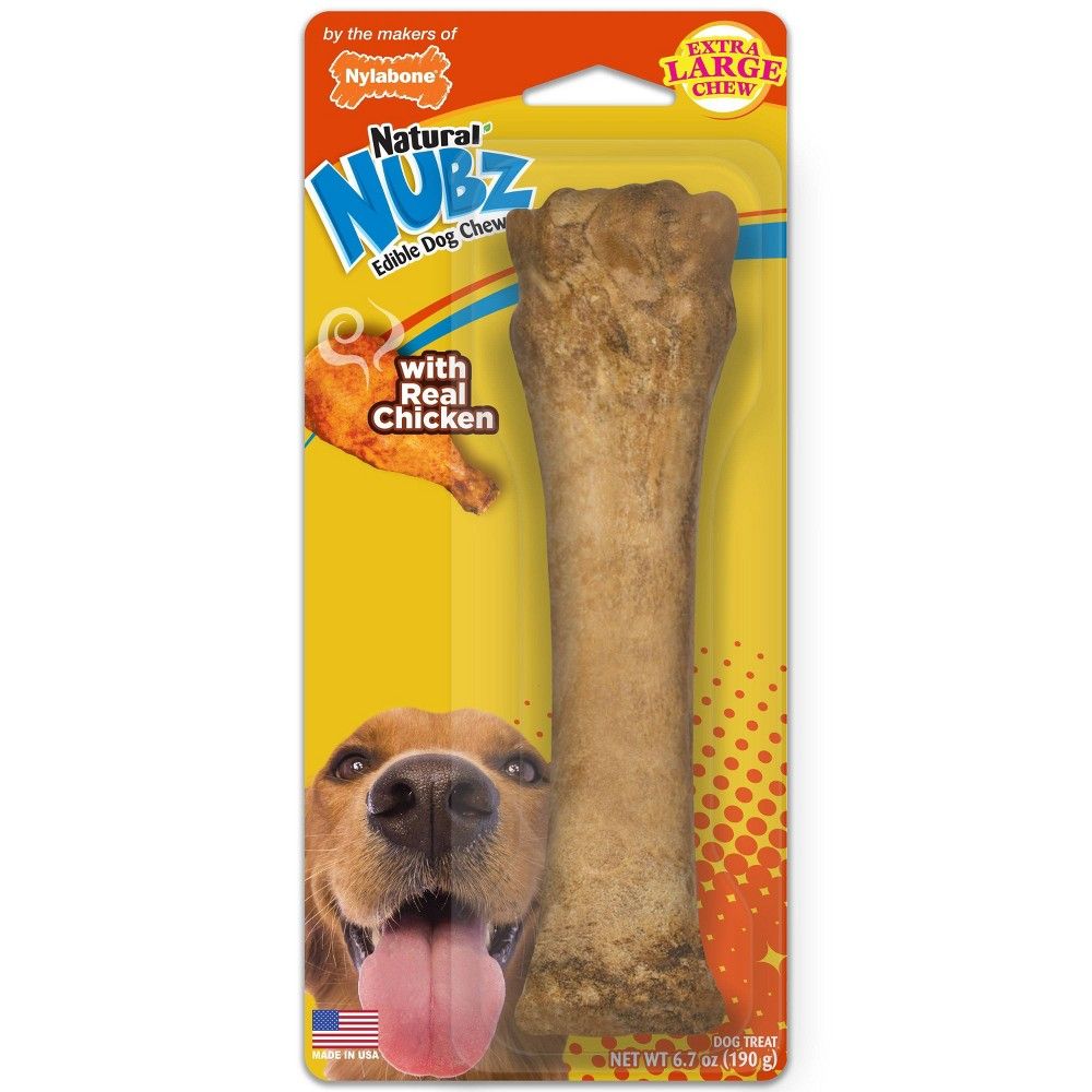 Should Dogs Eat Nylabones