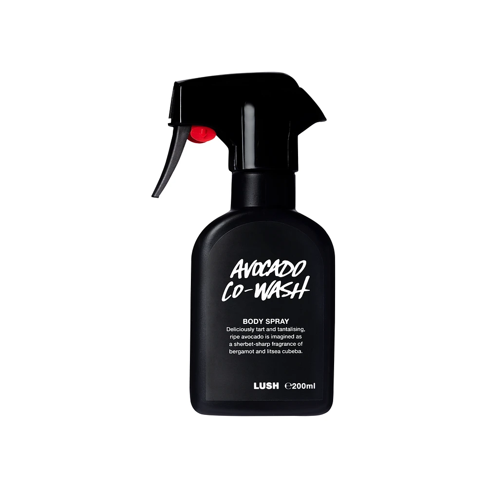Lush shop body wash