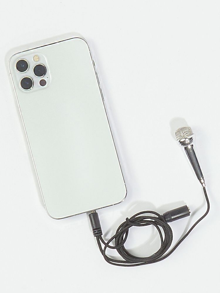 Altar d State Mini Karaoke Microphone Mall Of America altar-d-state-mini-karaoke-microphone-mall-of-america