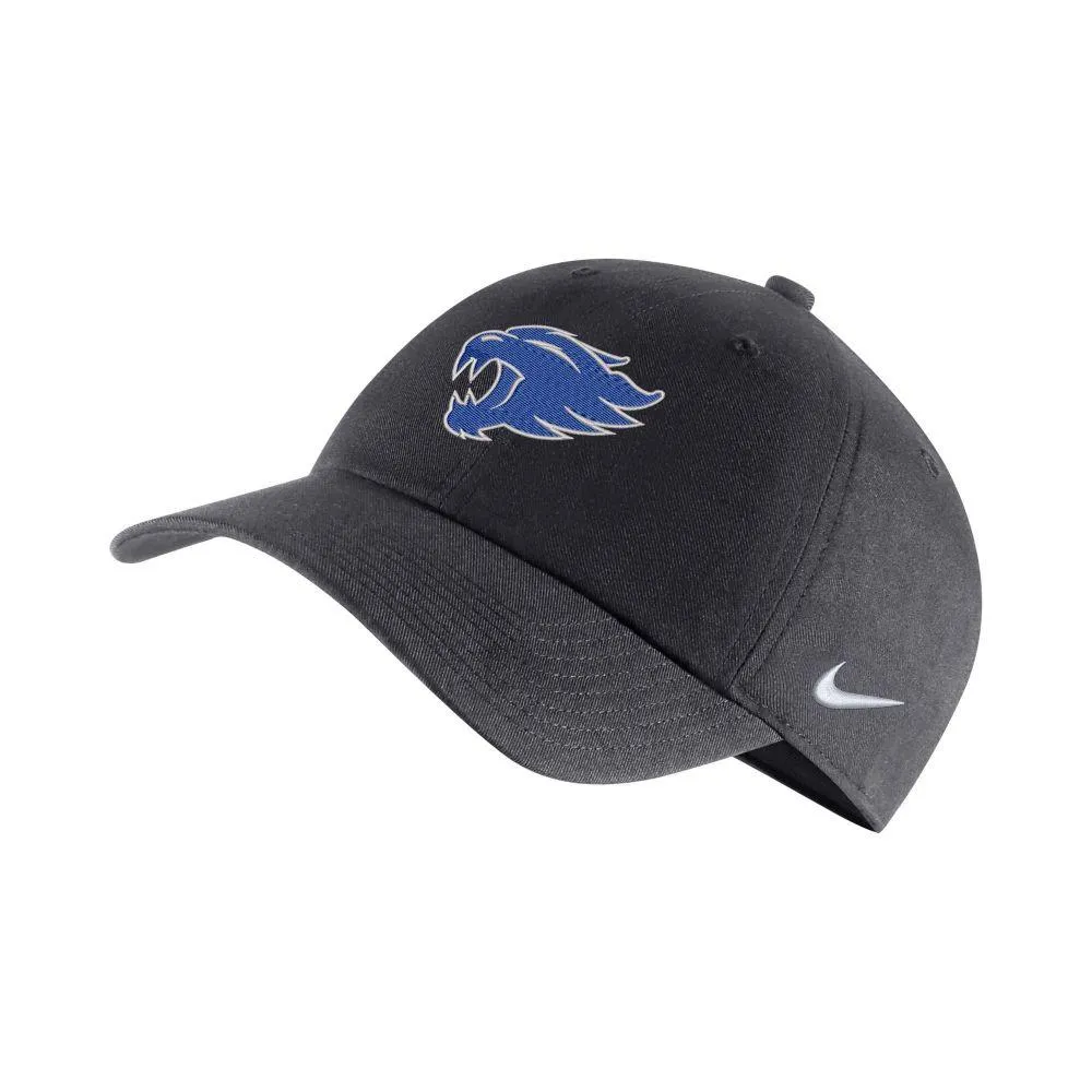 Kentucky store nike hat