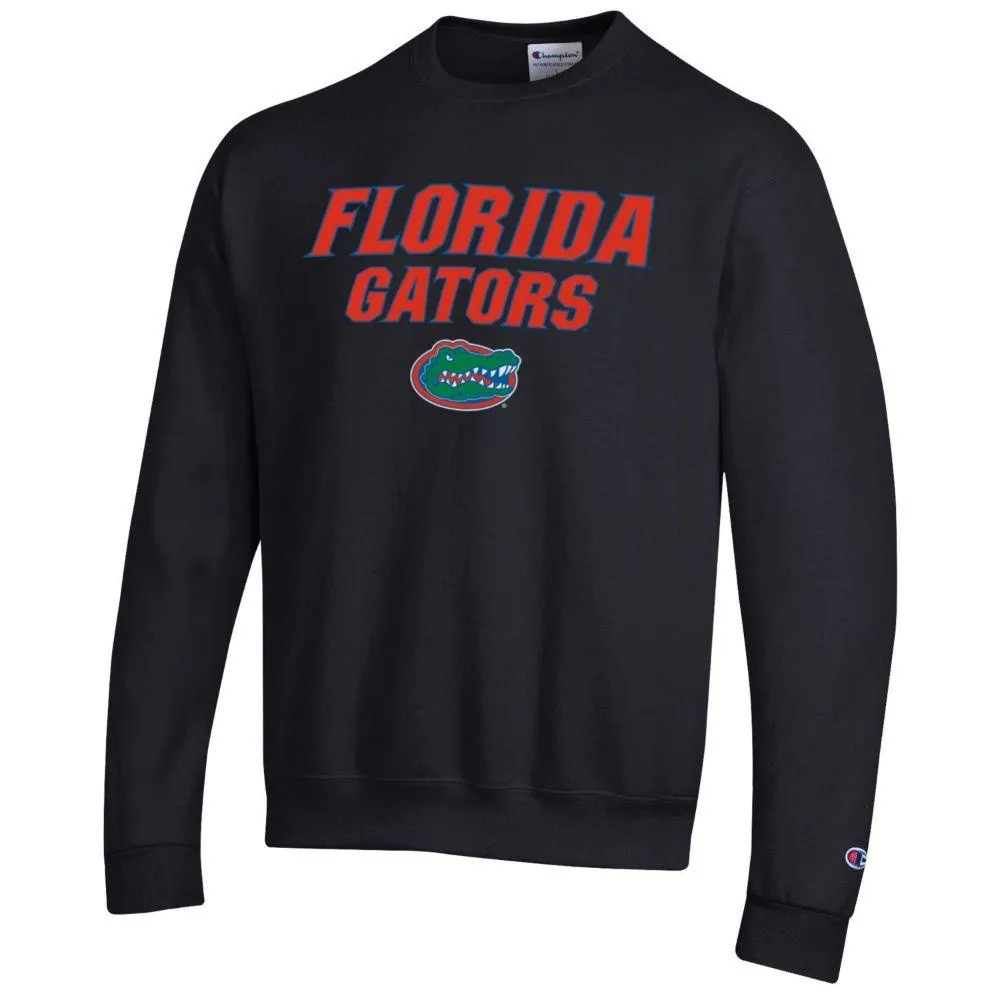 Uf shop champion sweatshirt