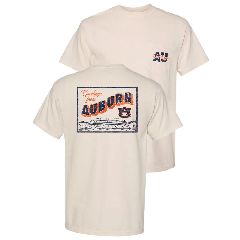 Auburn t store shirts comfort colors