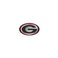 Alumni Hall Georgia Bulldogs Mirrored Domed Hitch Cover | The