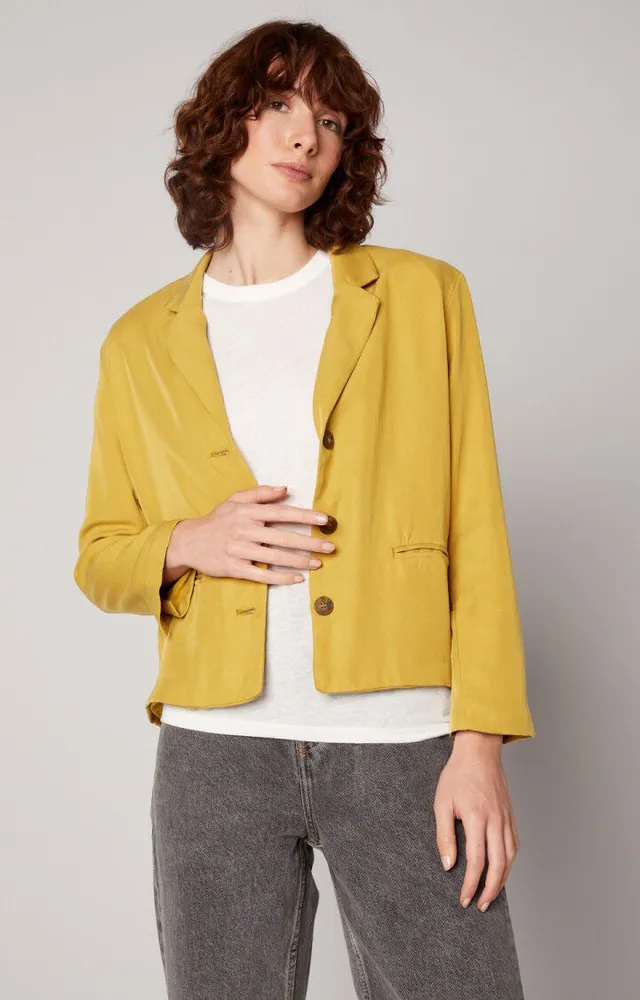 American vintage blazer clearance