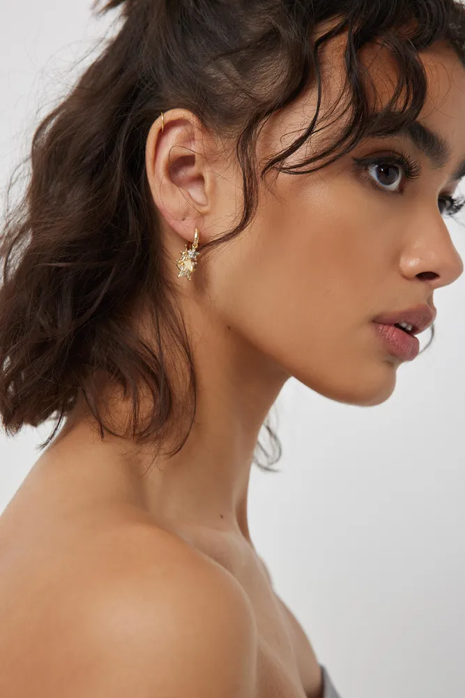 Hoop earrings with star charm sale