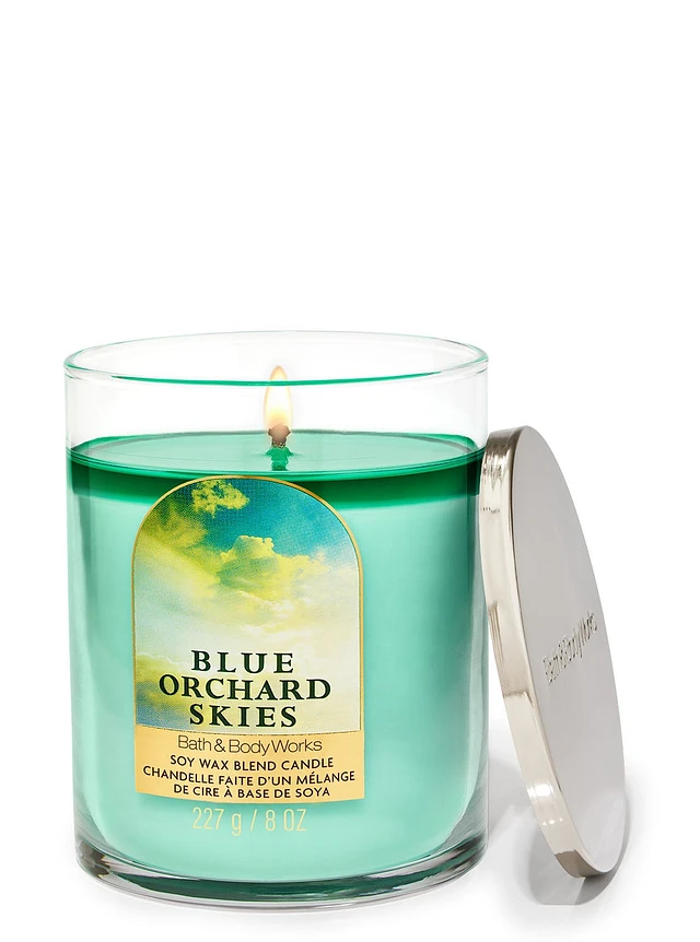 Bath and Body Works Blue Orchard Skies Single Wick Candle | Shop