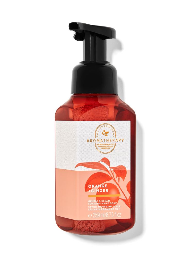 Bath and Body Works Orange Ginger Gentle Foaming Hand Soap | Bramalea ...