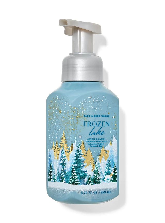 Bath&Body Works Frozen Lake Gentle & Clean Foaming Hand Soap
