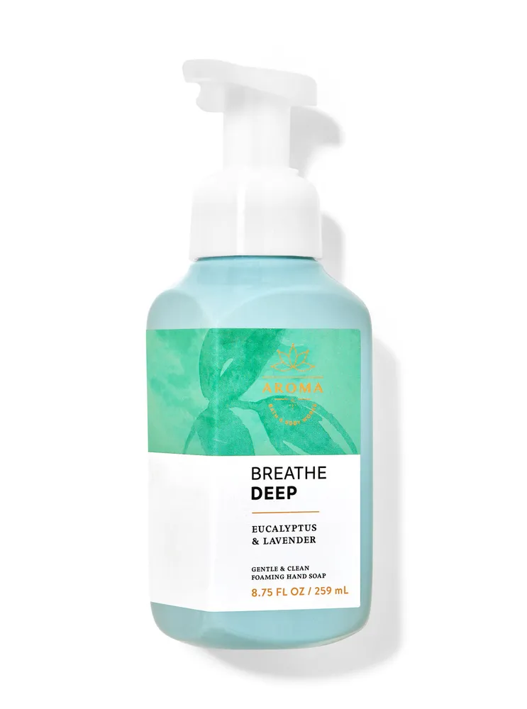 Aroma Eucalyptus Lavender Gentle & Clean Foaming Hand Soap Brazos Mall
