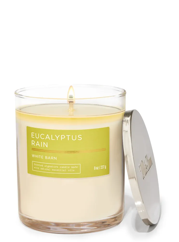 Bath & Body Works Eucalyptus Rain Signature Single Wick Candle