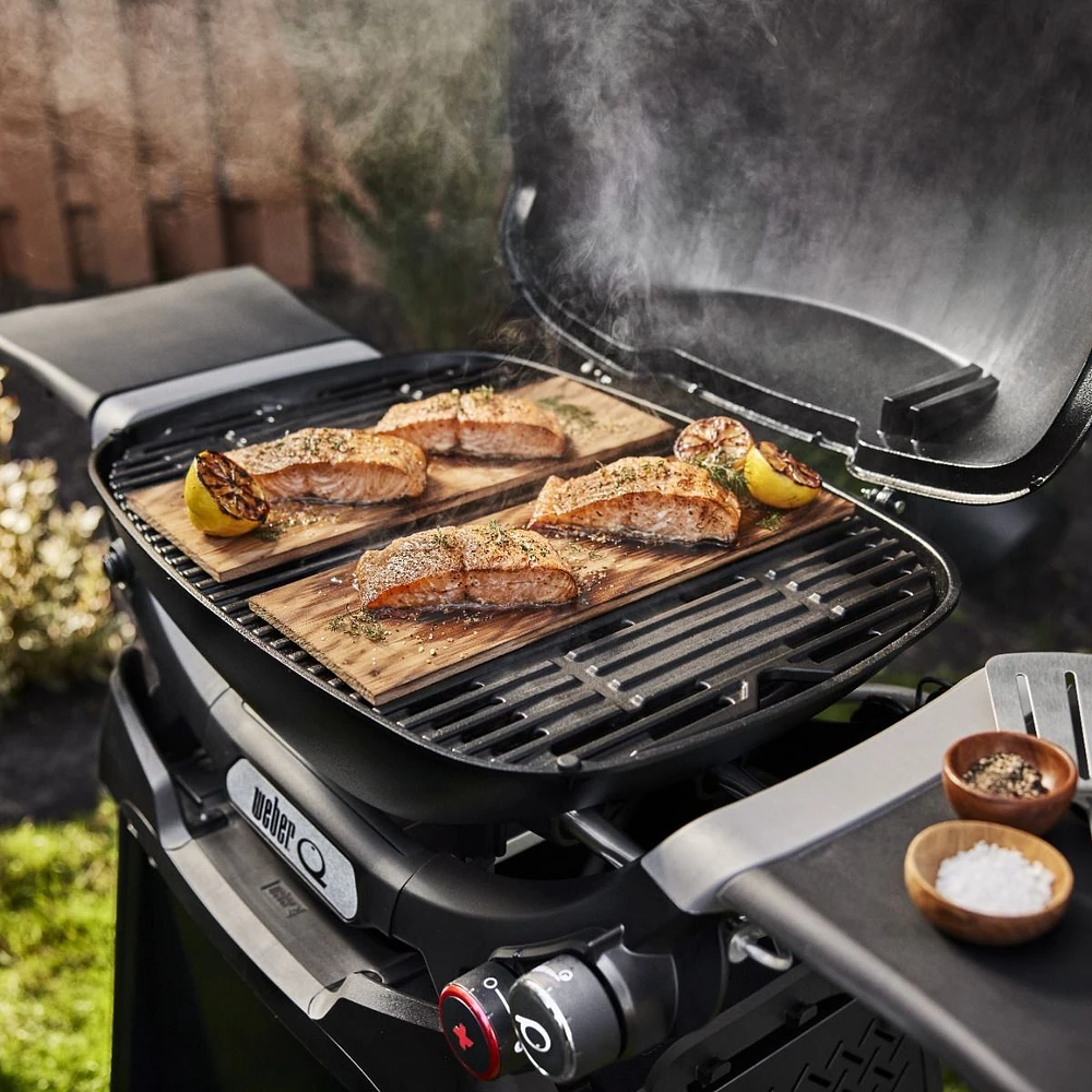 Weber q bbq galore new arrivals