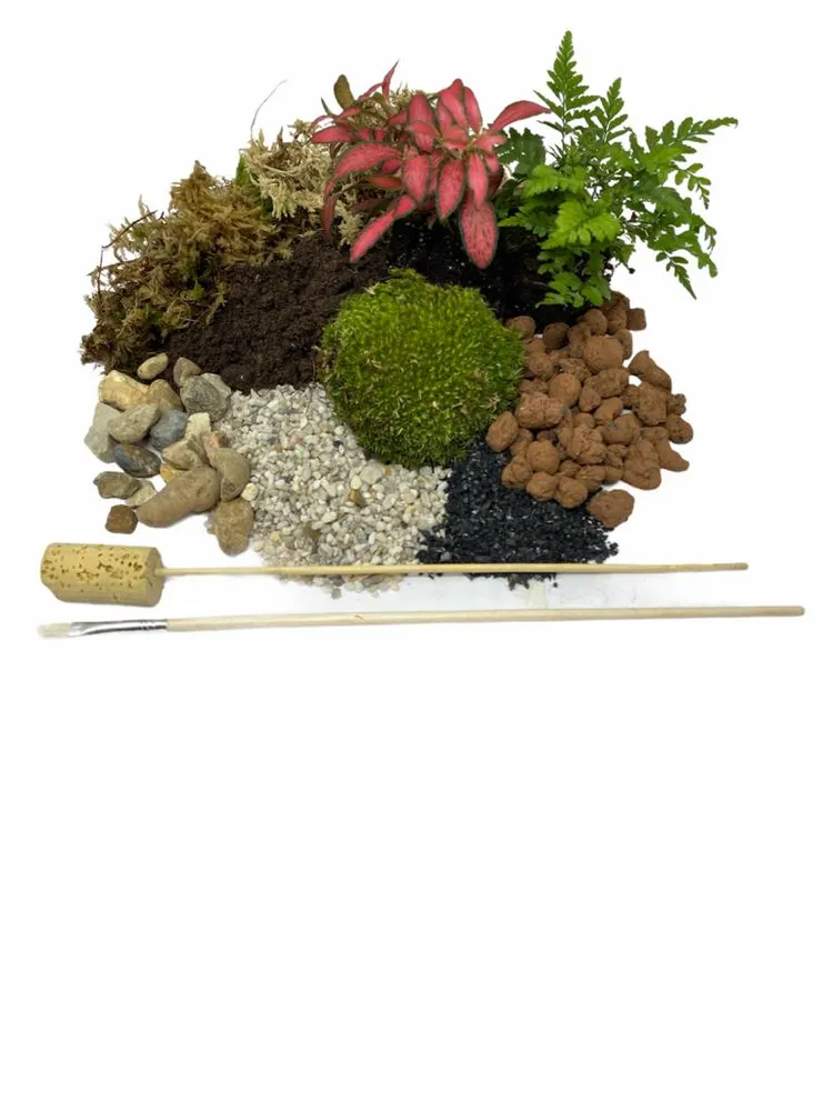 Botanicalboysuk Terrarium Kit ingredients King's Cross