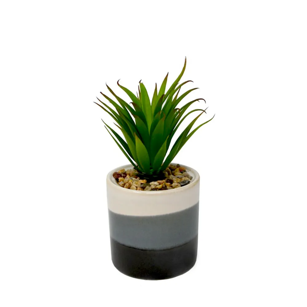 Kozy Mon Inspiration Yucca En Pot 3 Tons Galeries De La Capitale 