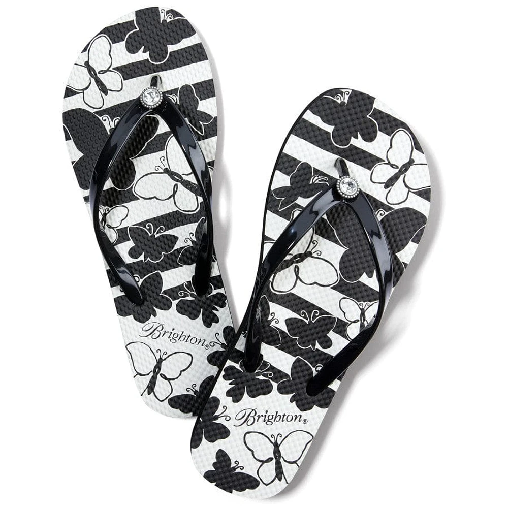 Brighton flip flops new arrivals