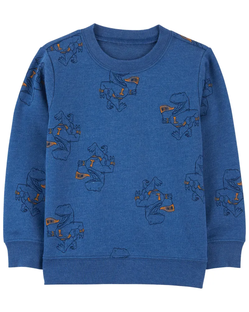 Carters sweatshirt hotsell