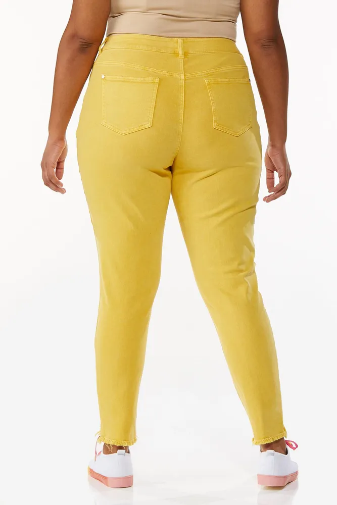 Cato plus size top jeggings