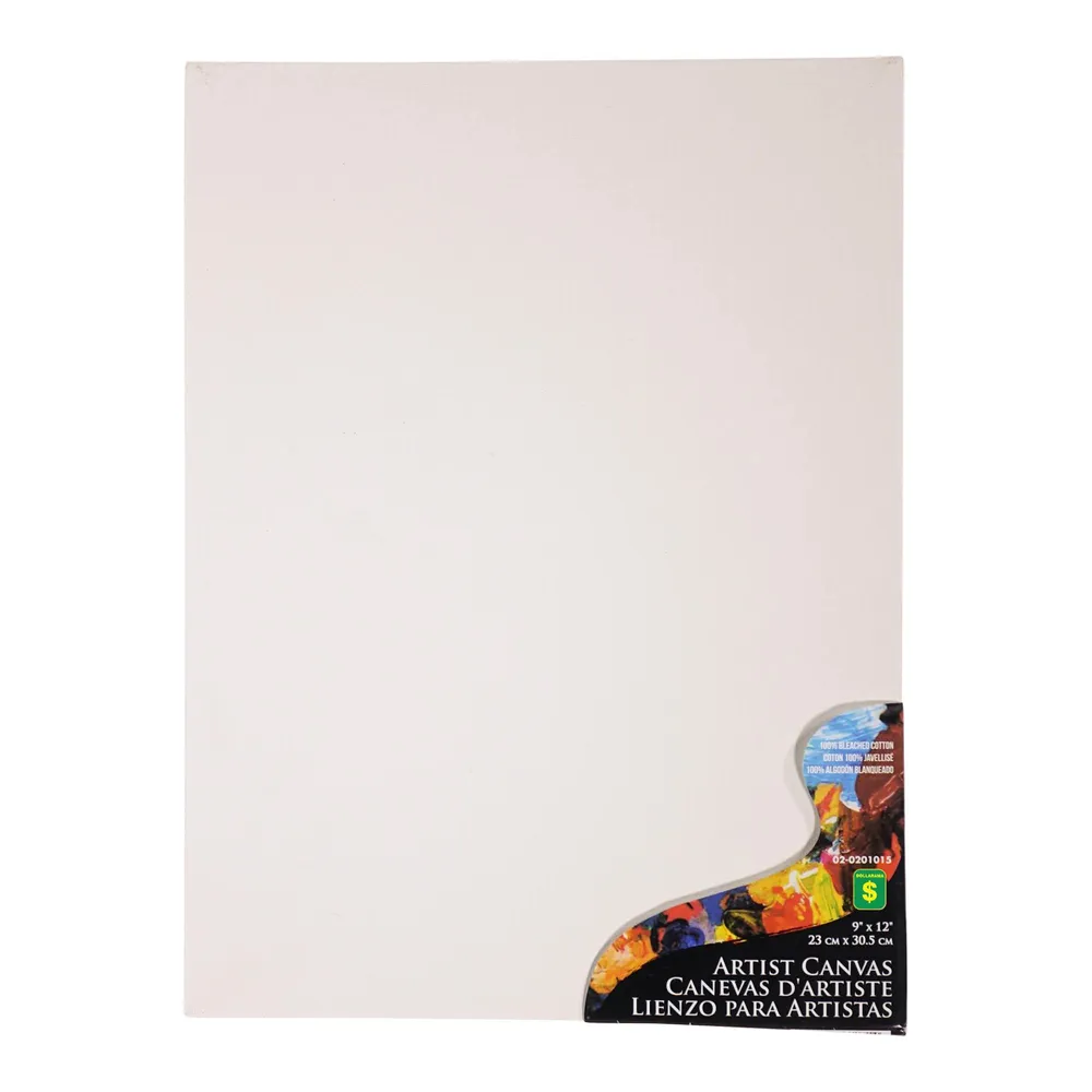 Dollarama Flat Artist Canvas (Assorted Sizes and Quantities) Case of