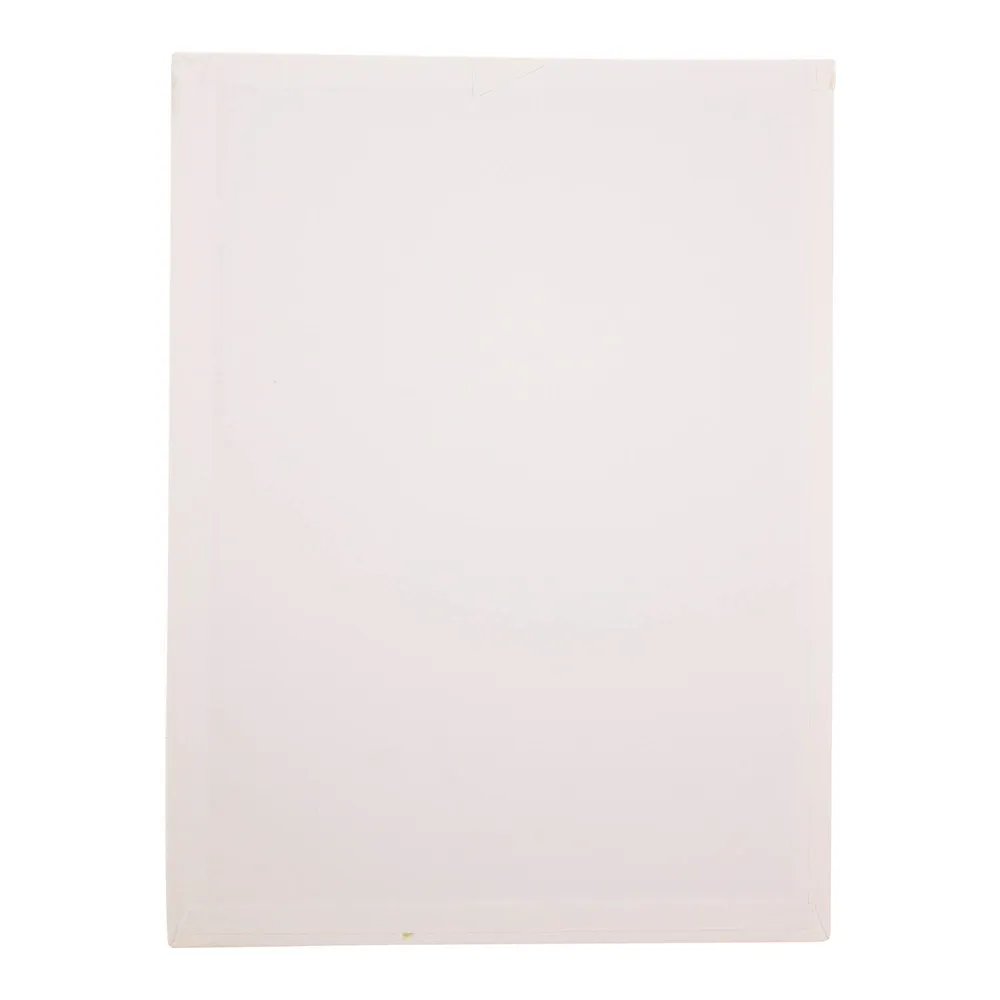 Dollarama Flat Artist Canvas (Assorted Sizes and Quantities) Case of