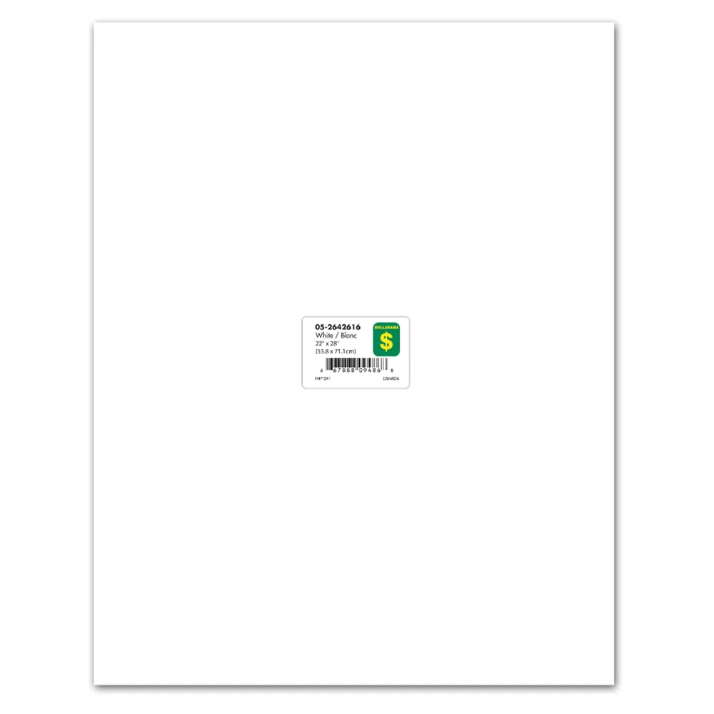 Dollarama White Bristol Board Sheet Case of 100 Coquitlam Centre