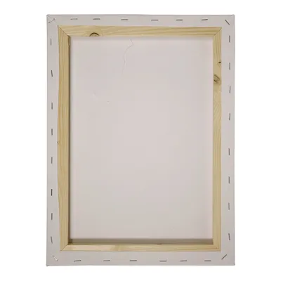 Dollarama 16''x20'' Wood Framed Artist Canvas - Case of 24 | Niagara ...