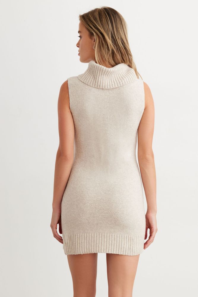 Dynamite sweater best sale dress