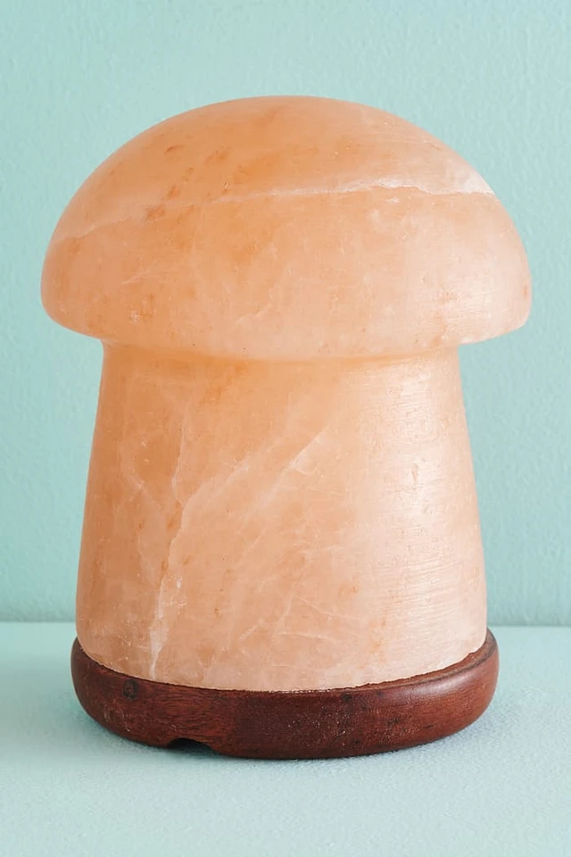 Mushroom salt lamp on sale
