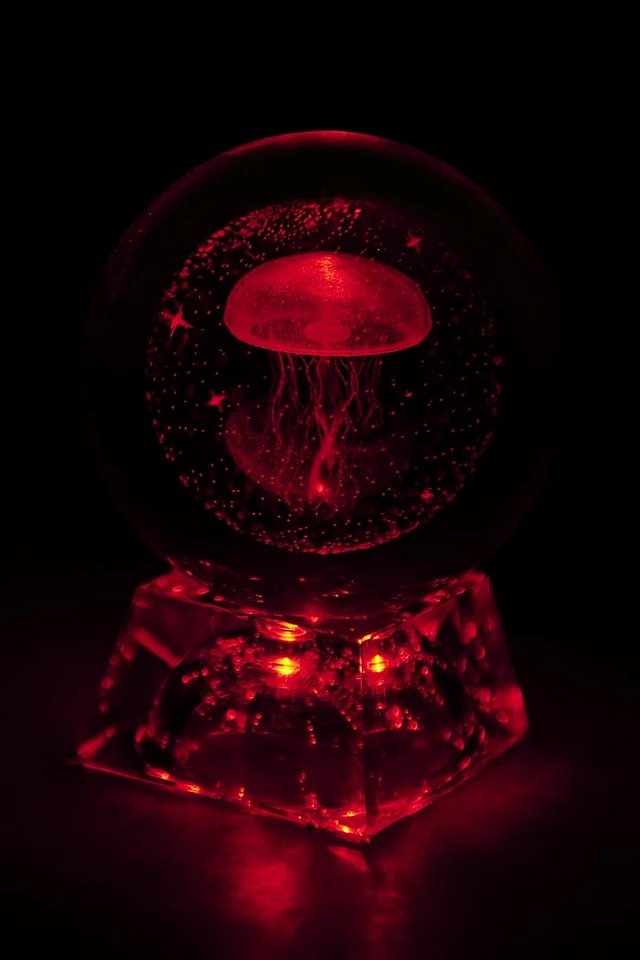 【スーパーセール】 Earth Bound Trading LED Glass Jellyfish Sphere | Vancouver Mall その他