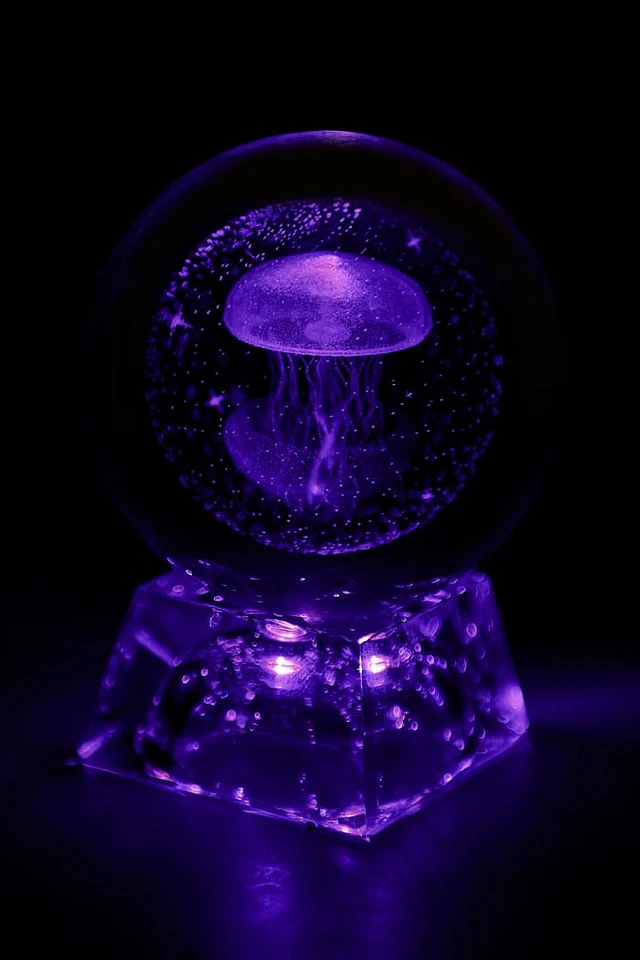 JELLYFISH　コンポート　アンティーク Earth Bound Trading LED Glass Jellyfish Sphere at Vancouver