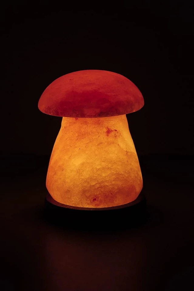 Salt lamp earthbound cheap