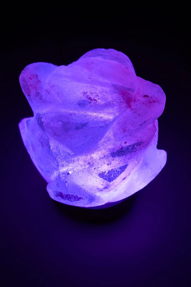 Himalayan salt lamp earthbound on sale