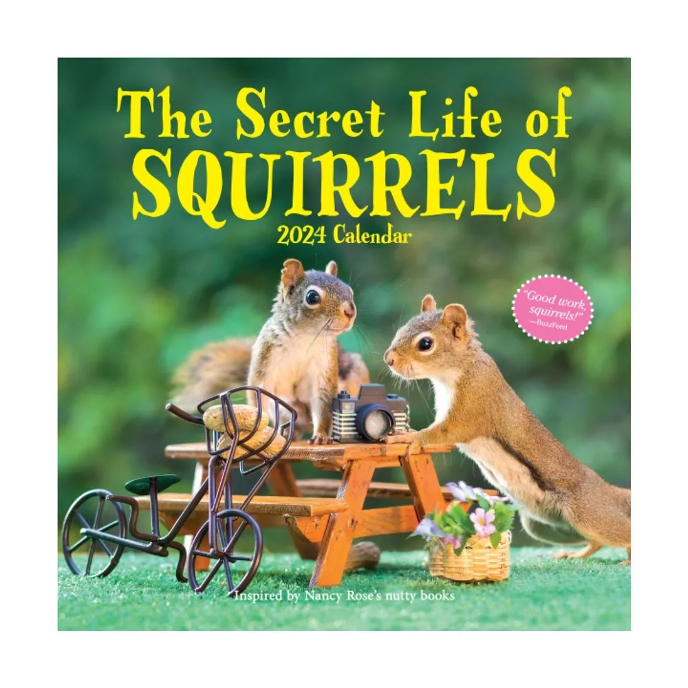 Hallmark Secret Life of Squirrels 2024 Wall Calendar Brazos Mall