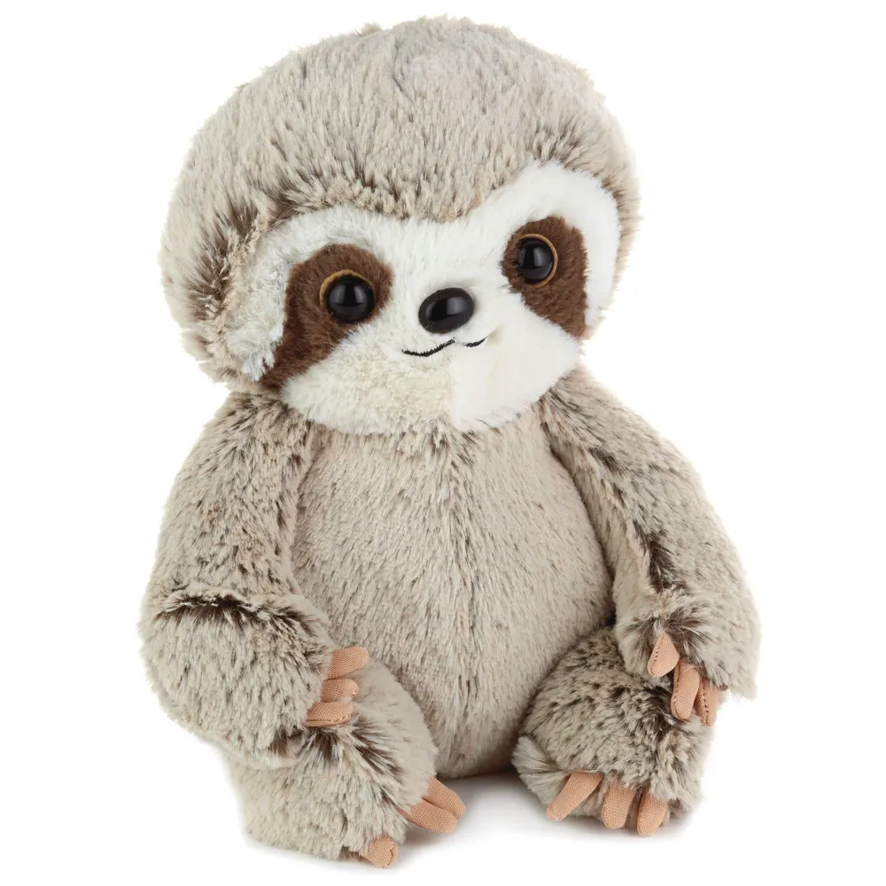Baby sloth shop with stuffed animal