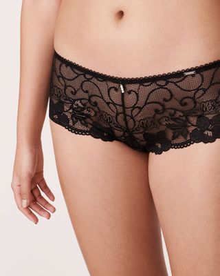 lace hiphugger panty