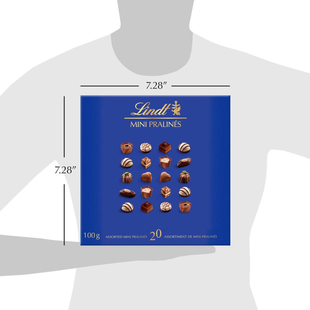 Lindt Mini Pralines Assorted Chocolates Gift Box, 100g Halifax