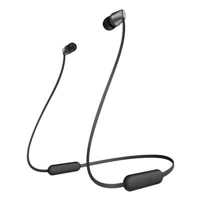 Sony mdrex110apb 2025