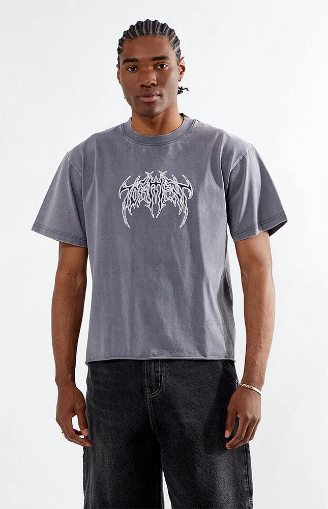 Pacsun Torment Cropped T-Shirt | Arden Fair