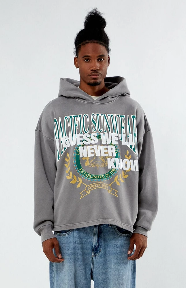 Pacsun guess hoodie store