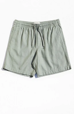 Pacsun volley shorts best sale