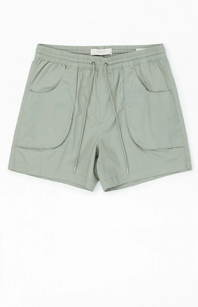 Pacsun volley shorts discount