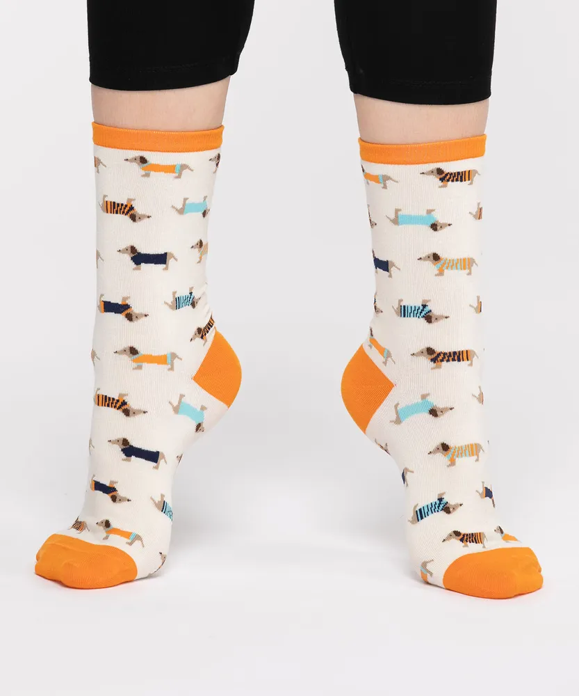 Little dog socks sale