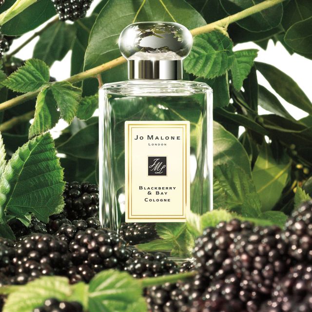 Jo Malone London Blackberry & Bay Cologne | The Market Place