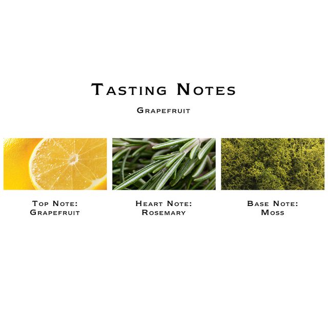 NEST New York Grapefruit Candle Mall of America®