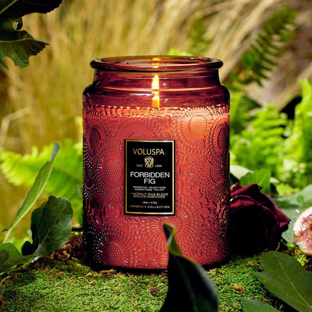 VOLUSPA Forbidden Fig Glass Jar Candle Mall of America®