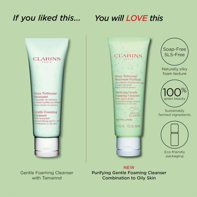 Clarins Purifying Gentle Foaming Cleanser The Summit