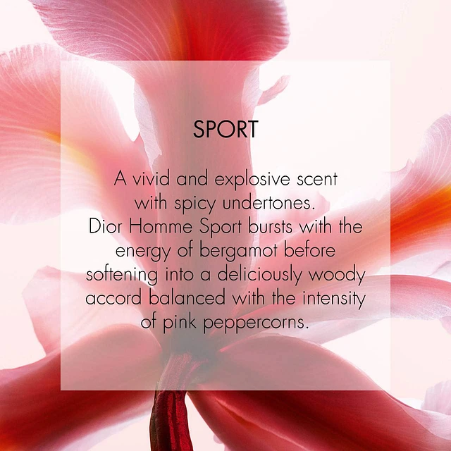 Dior Homme Sport | Pacific City