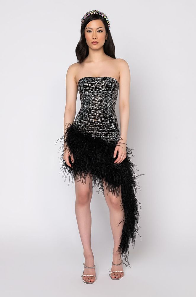 Feather top birthday dress