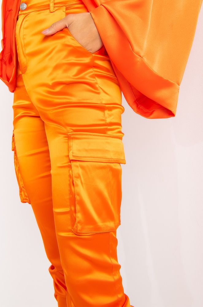 Akira cargo pants online