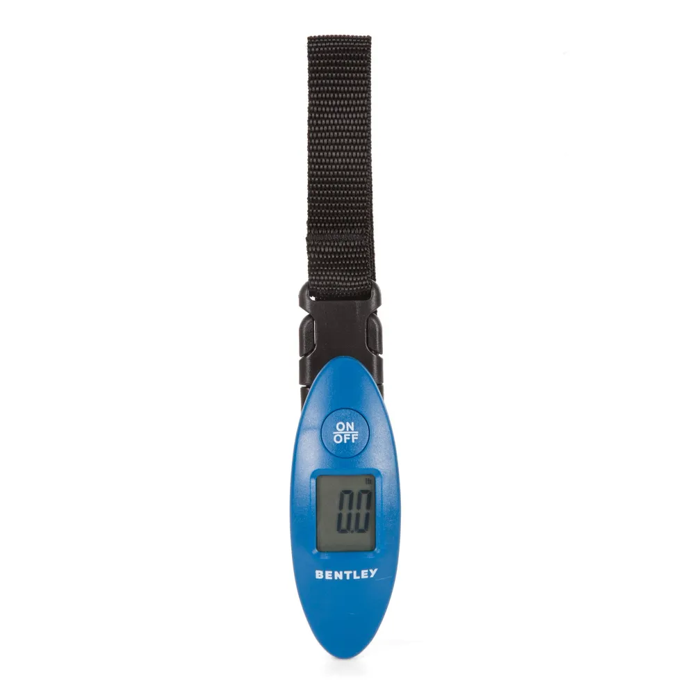 Kmart hotsell luggage scale