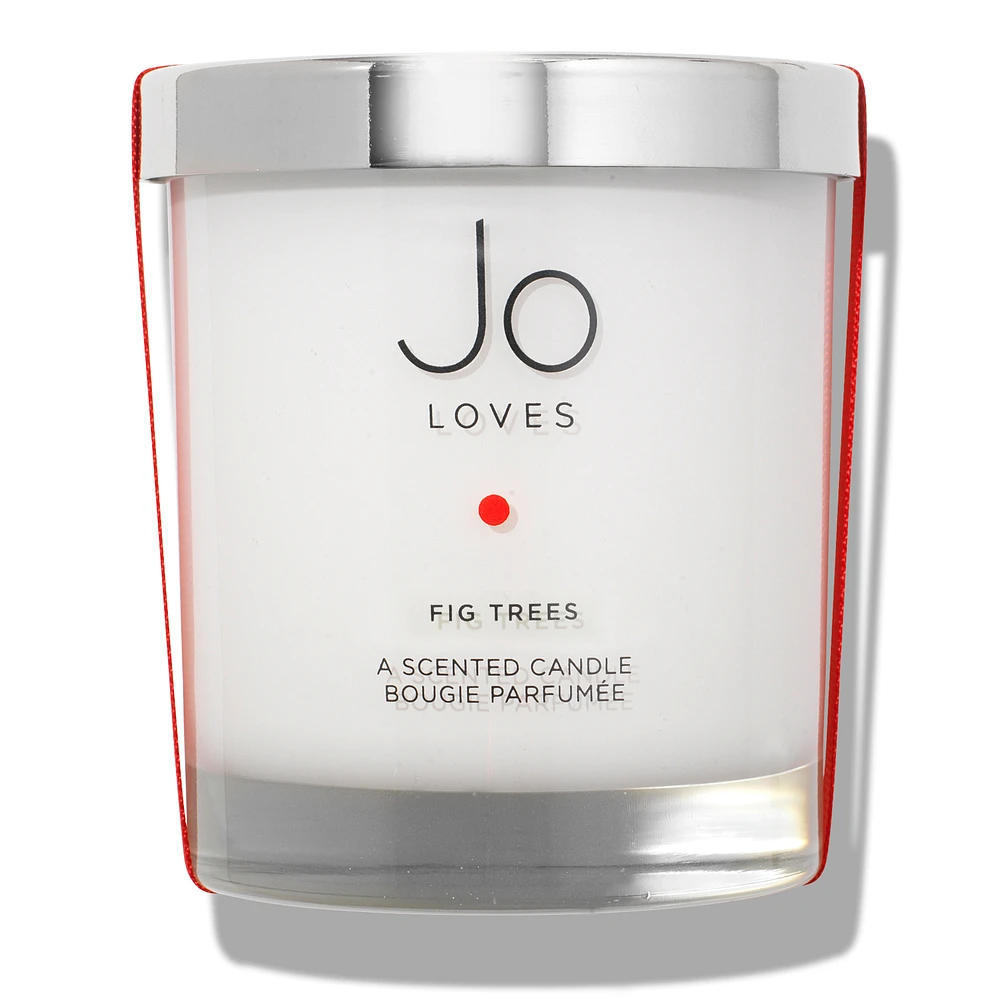Jo loves shop fig trees